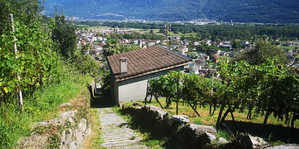 Ferienhause Tessin Casa Sogno Umgebung