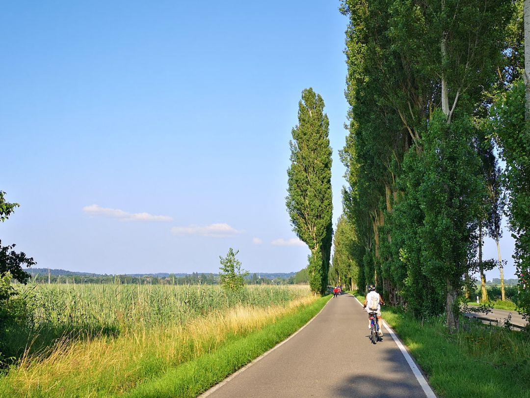 Fahrradtour Bodensee
